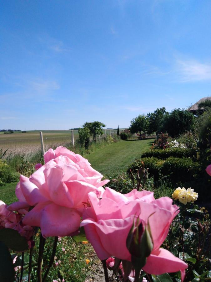 A L Epoque Bed & Breakfast Bouges  Exterior photo